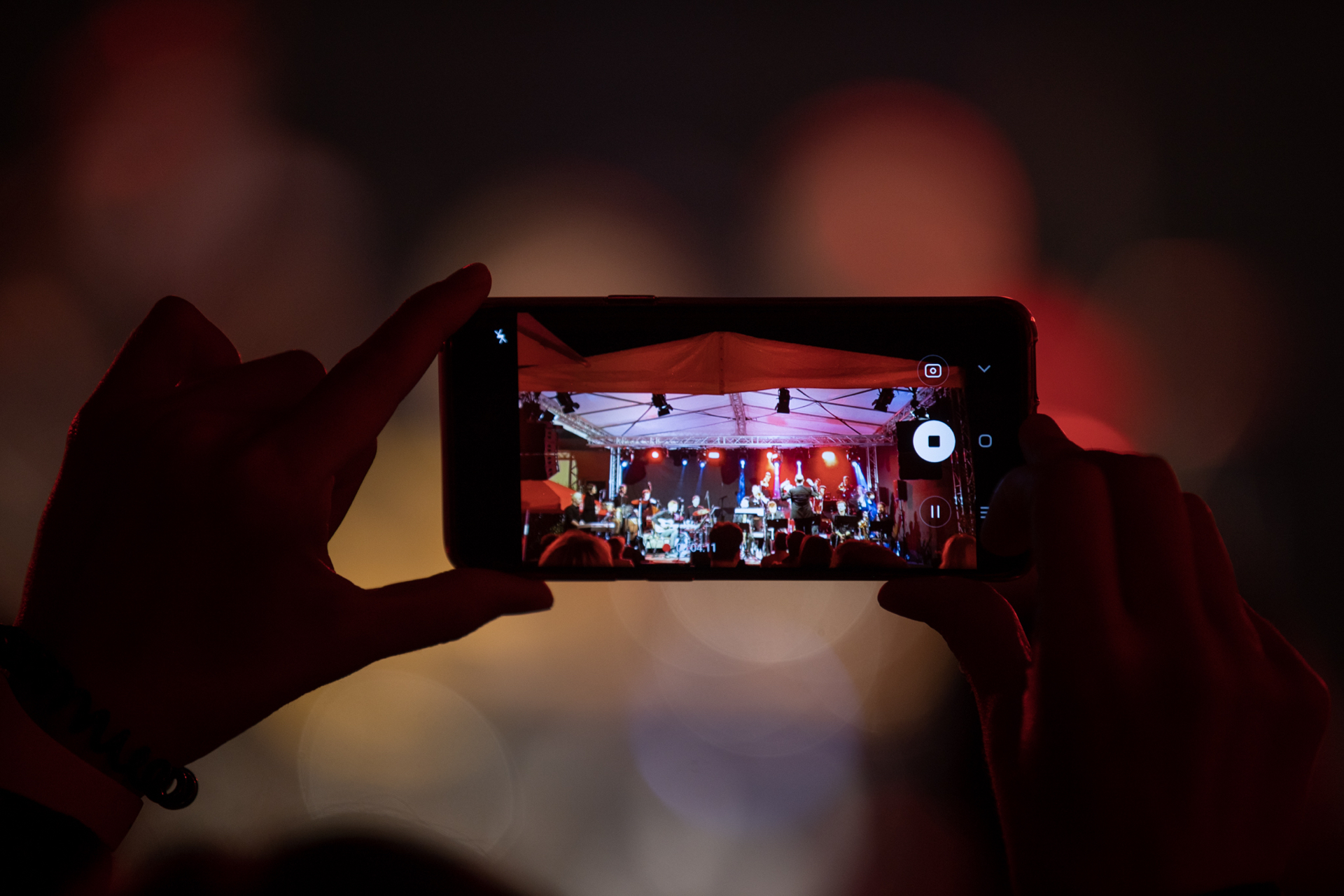 Trump Cats Big Band 07